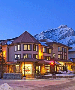 Where to stay