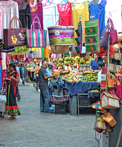 What to eat or buy