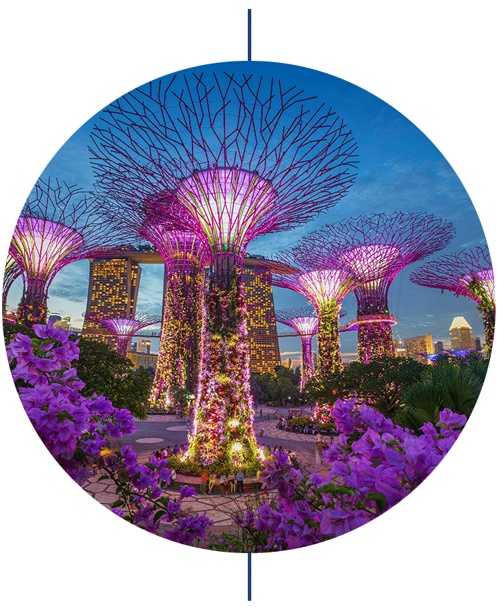 ilwt-singapore